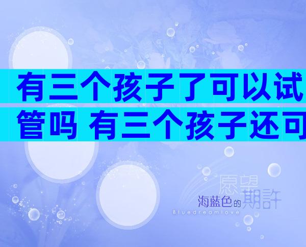 有三个孩子了可以试管吗 有三个孩子还可以再生吗